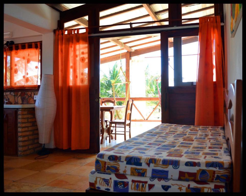 Girassol * Jijoca de Jericoacoara